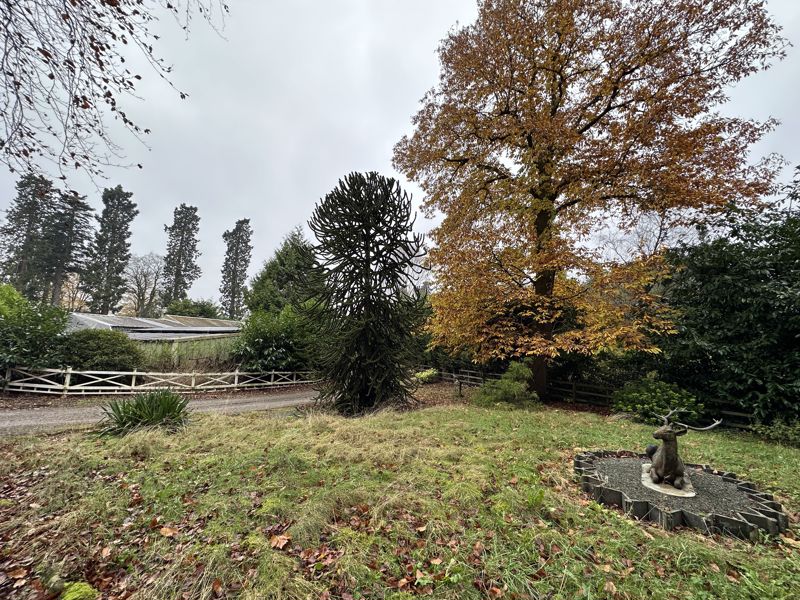 Gardens - click for photo gallery